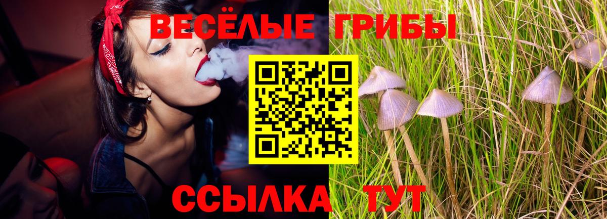 Псилоцибиновые грибы Cubensis  Вход с VPN  Урюпинск 