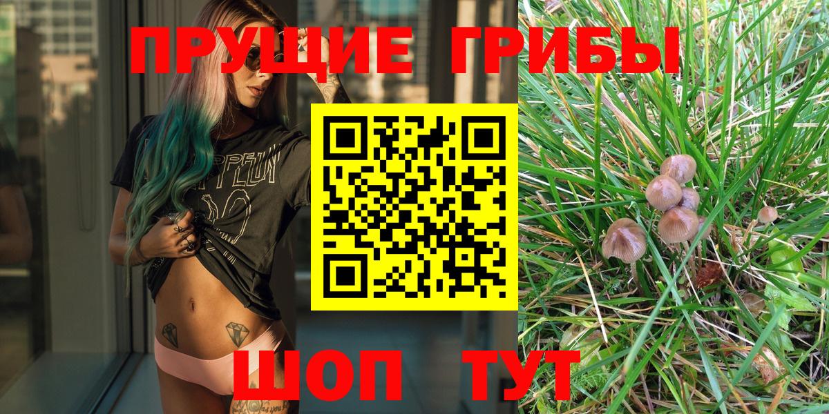 Псилоцибиновые грибы GOLDEN TEACHER Урюпинск